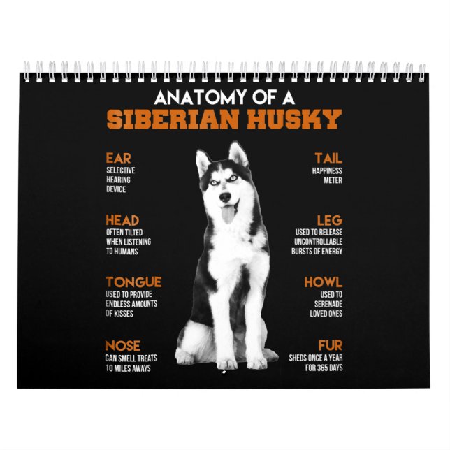 Calendrier Husky| Anatomie Des Chiens Husky Sibériens (Protection)
