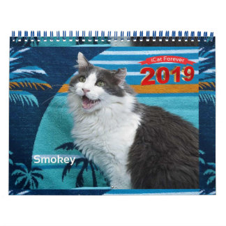 Calendrier iCat Forever 2019