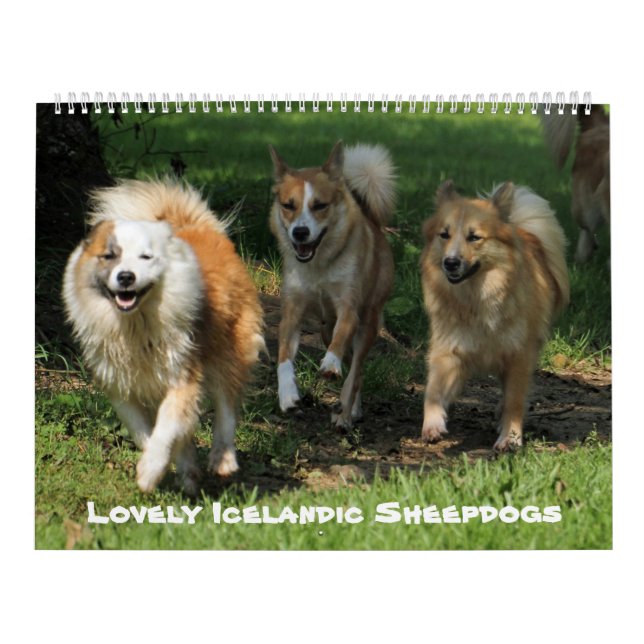 Calendrier IcelandicSheepdog 001 (Protection)