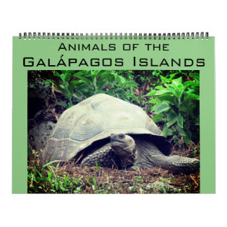 Calendrier îles galapagos animaux 2027 grand