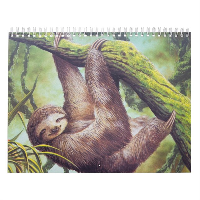 Calendrier Illustration vintage de paresse (Protection)
