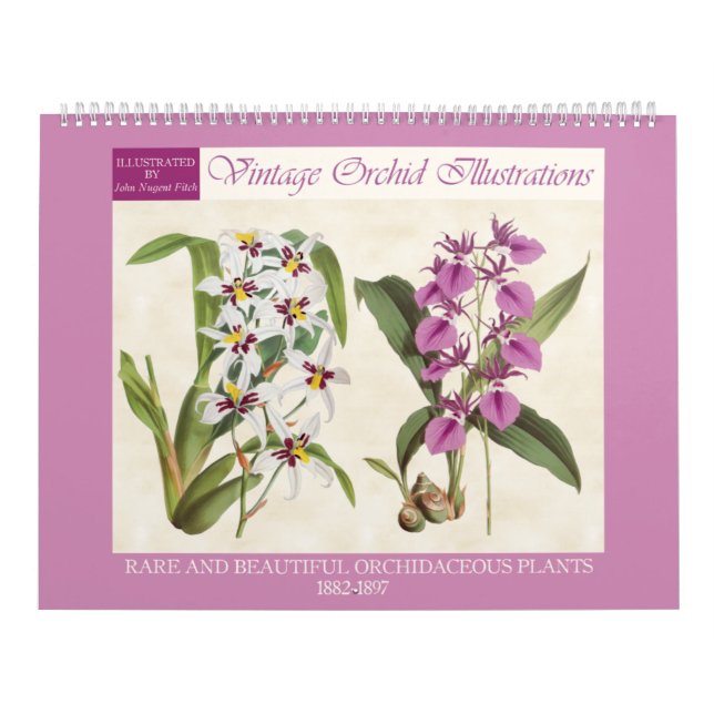 Calendrier Illustrations vintages de l'orchidée botanique 202 (Protection)