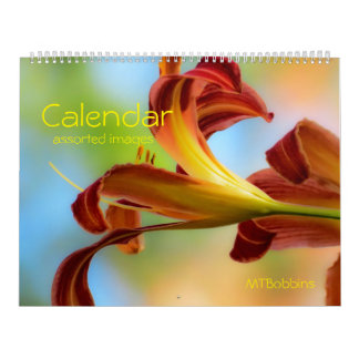 Calendrier - images assorties - avec de grands