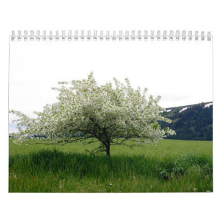 Calendrier Images d'Amérique