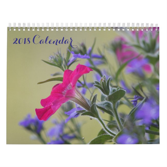Calendrier Images de la page complète 2018 (Protection)