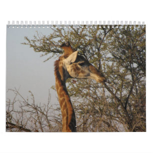 Calendrier Images de l'Afrique du Sud