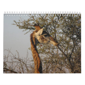 Calendrier Images de l'Afrique du Sud