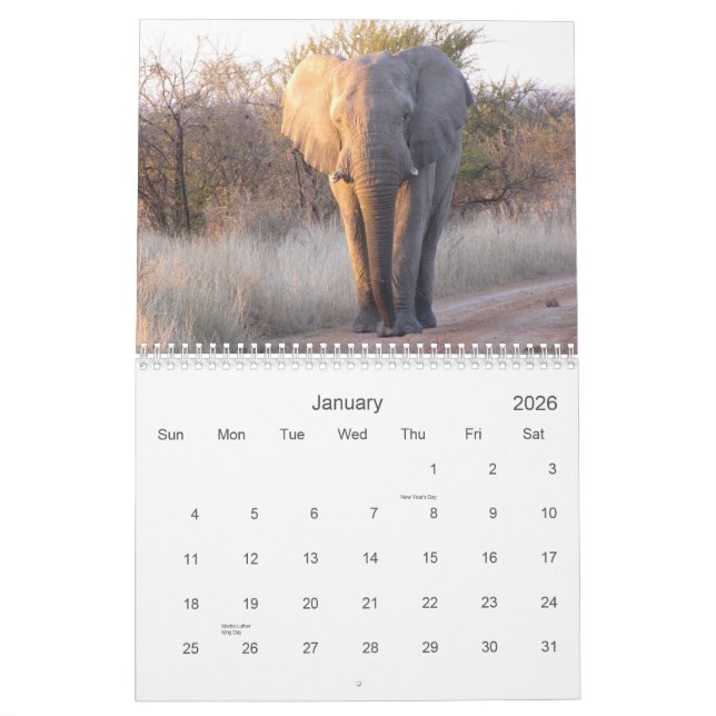 Calendrier Images de l'Afrique du Sud (Jan 2026)