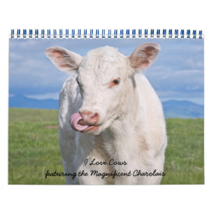 Calendrier IMG_6979, I Love Cows avec les Magnifiques...