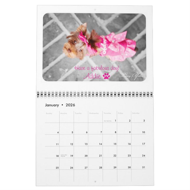 Calendrier imprimé par coutume de luxe de Yorkies (Jan 2026)