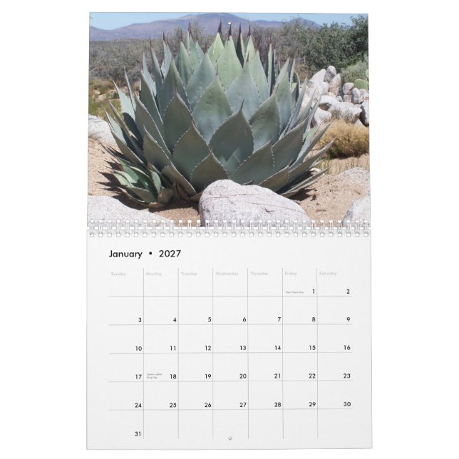 Calendrier Instantanés (Jan 2027)