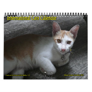 Calendrier international des chats