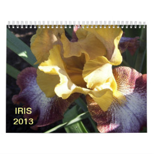 Calendrier Iris dans le jardin