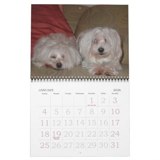 Calendrier Jackie & Sassy's Wild & Krazy Adventures (Jan 2026)