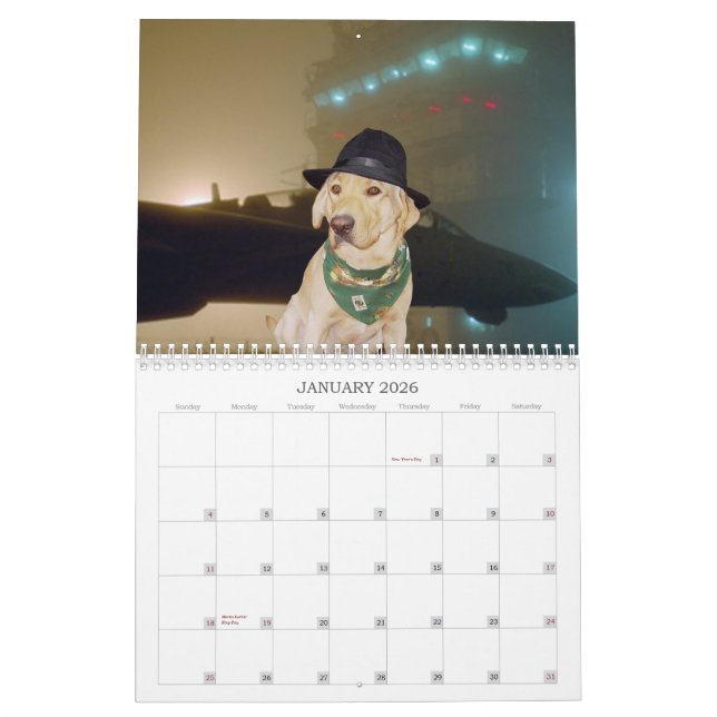 Calendrier jaune de laboratoire - 2013 (Jan 2026)