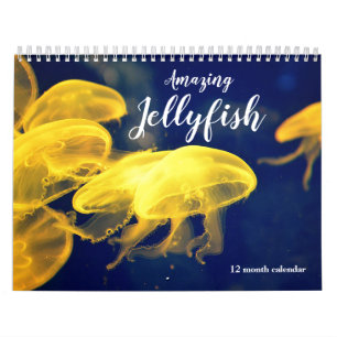 Calendrier Jellyfish Extraordinaire 2026