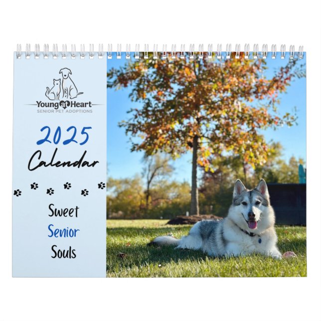Calendrier Jeune au coeur 2025 - Âmes supérieures  (Protection)
