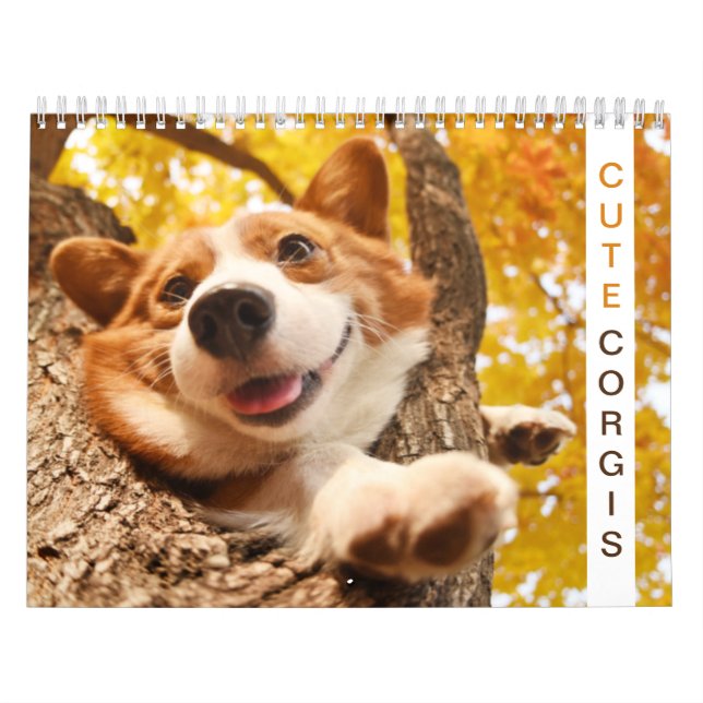 Calendrier Joli Corgis ! Chien / Chien (Protection)