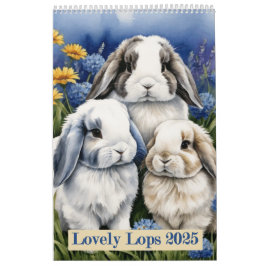 Calendrier Joli Lapin Lapin De Lop