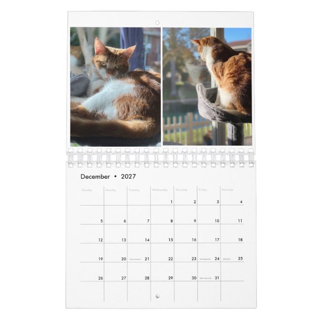 Calendrier Kitty Cats (Dec 2027)