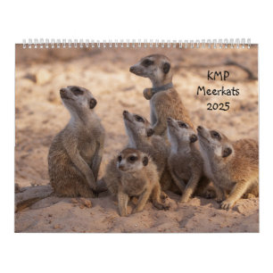 Calendrier KMP Meerkat 2025