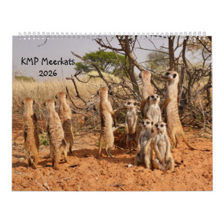 Calendrier KMP Meerkats 2026