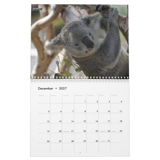 Calendrier Koala (Dec 2027)