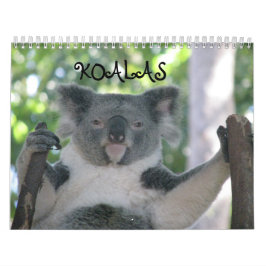 Calendrier Koala