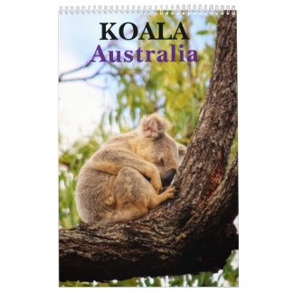 CALENDRIER KOALA AUSTRALIE