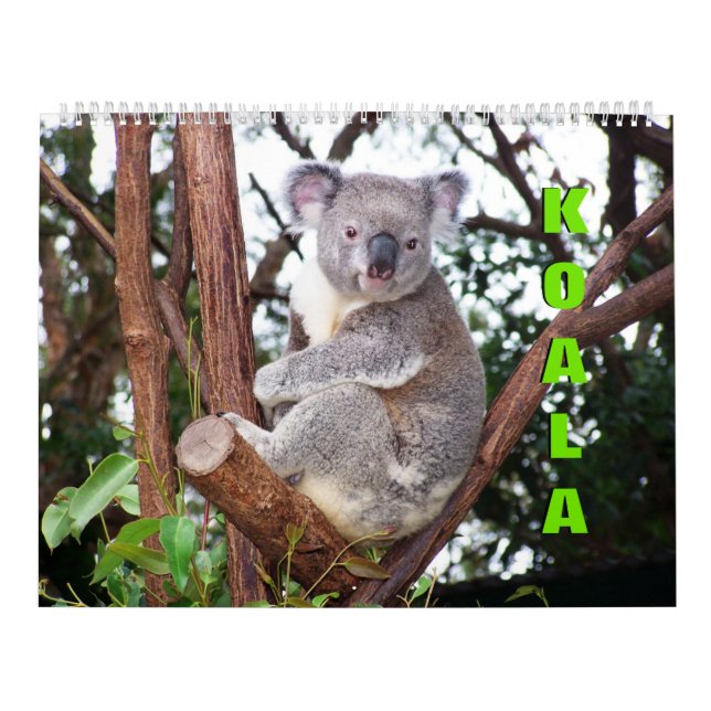 Calendrier Koalas (Protection)