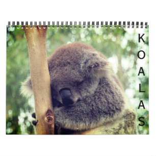 Calendrier koalas 2025