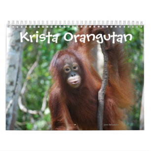 Calendrier Krista Orangutan