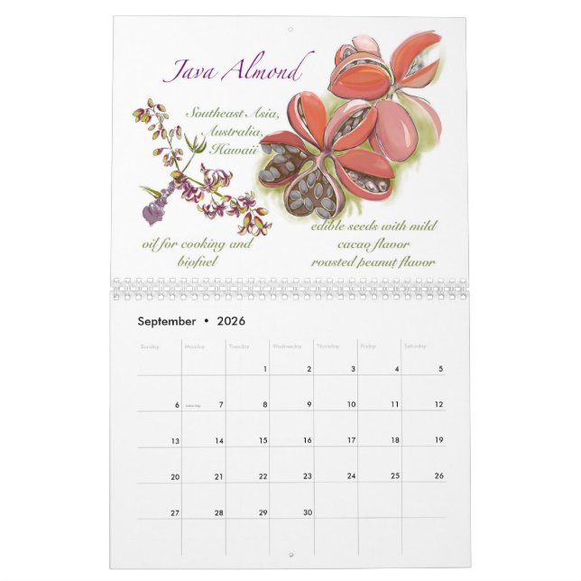 Calendrier Kwaj 2025 (Sep 2026)