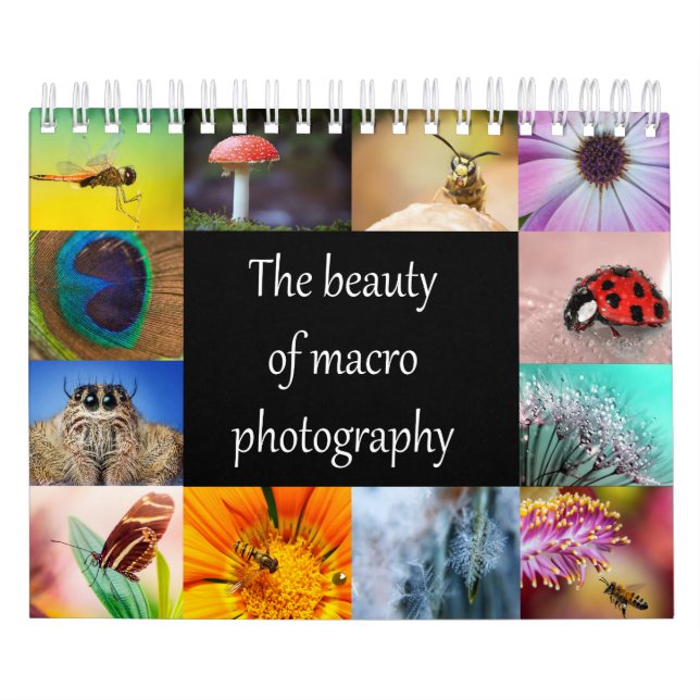 Calendrier La beauté de la macro photographie (Protection)