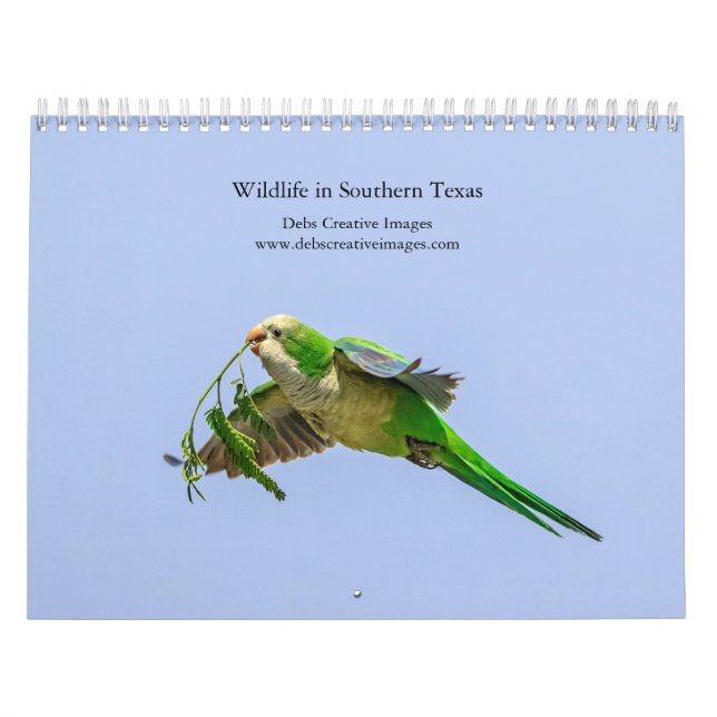 Calendrier La faune du sud du Texas, 2026 (Protection)