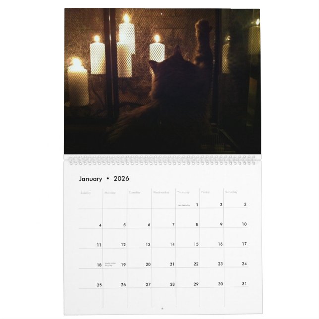 Calendrier La Grande Menace De Chat (Jan 2026)