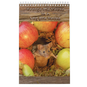 Calendrier La souris dans la pile de billes Maison
