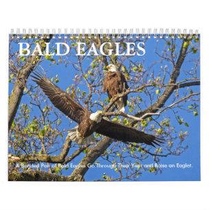 CALENDRIER LA VIE D'EAGLE CHAUVE