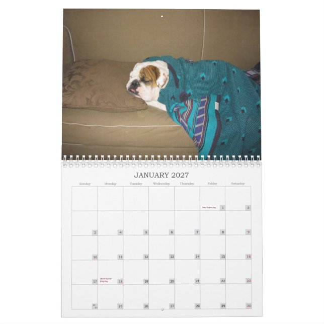 Calendrier La vie d'un chien (Jan 2027)