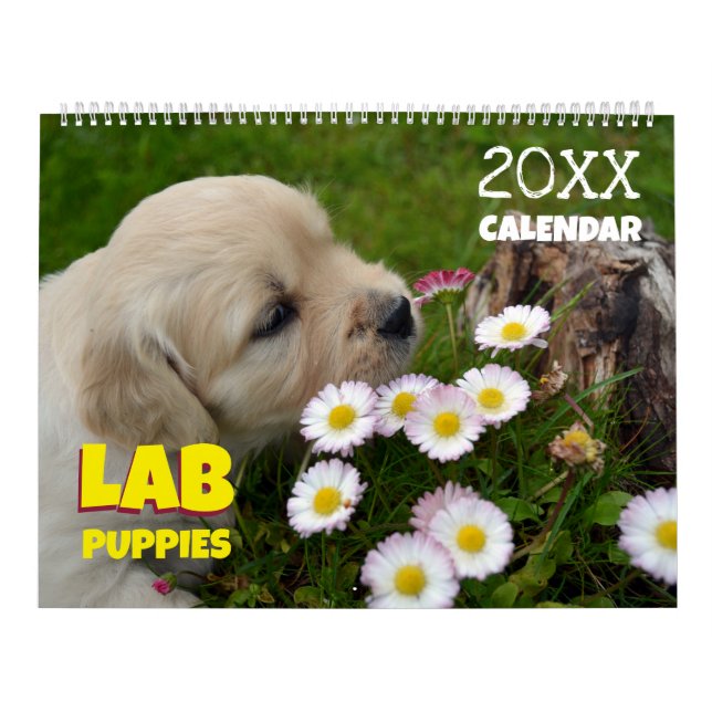 Calendrier Lab Puppies Labrador Retriever Wall 2025 Calendrie (Protection)