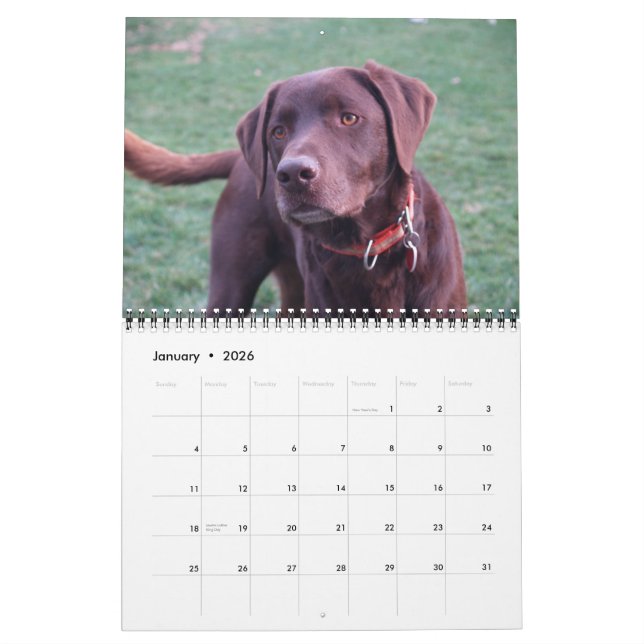 Calendrier Labrador & Golden Calendar (Jan 2026)