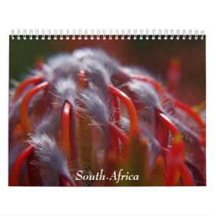 Calendrier L'Afrique du Sud