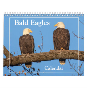 Calendrier L'aigle des chaudes