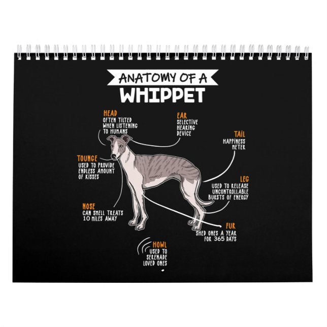 Calendrier l'anatomie d'un chien blanc un cadeau d'amoureux d (Protection)