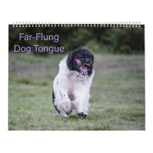 Calendrier Langue de chien lointaine