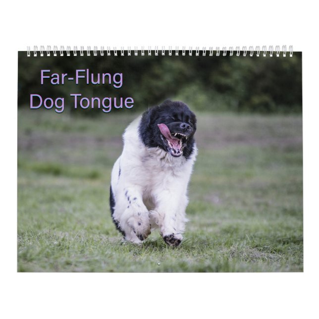 Calendrier Langue de chien lointaine (Protection)