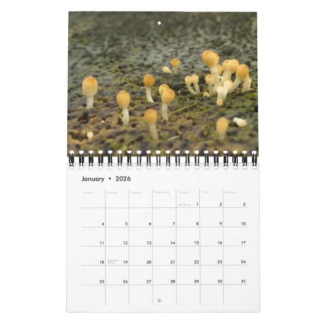 Calendrier Las Encantadas (Jan 2026)