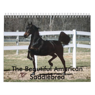 Calendrier Le bel Américain Saddlebred