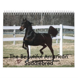 Calendrier Le bel Américain Saddlebred