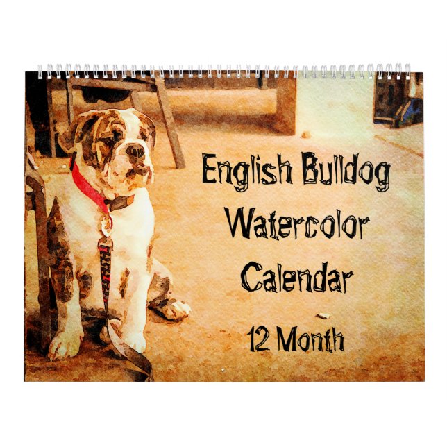 Calendrier Le bouledogue anglais Taureau britannique de 12 (Protection)